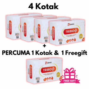Set 4 Kotak + Percuma 1 Kotak + 1 Freegift