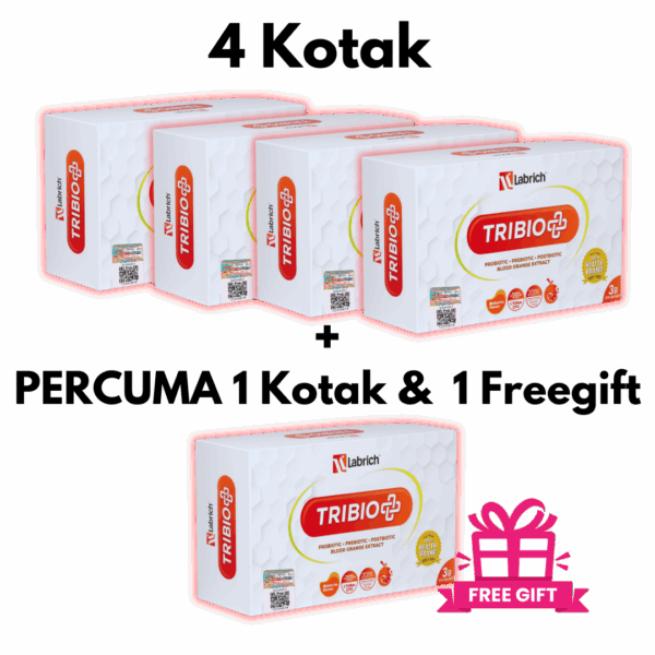 Set 4 Kotak + Percuma 1 Kotak + 1 Freegift