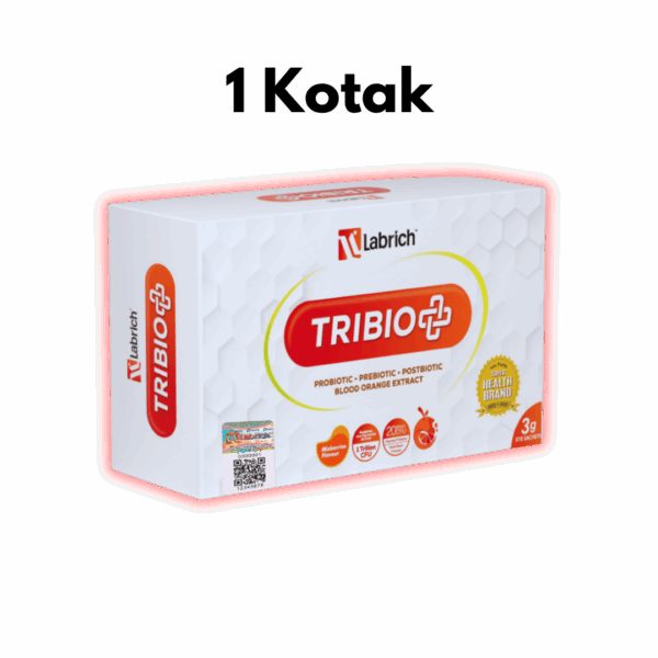 Set 1 Kotak