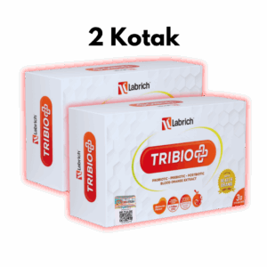Set 2 Kotak