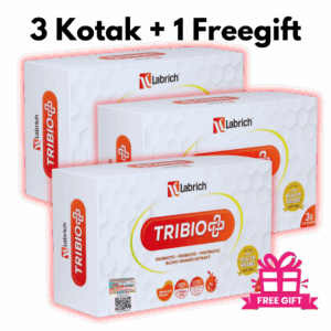 Set 3 Kotak + 1 Freegift