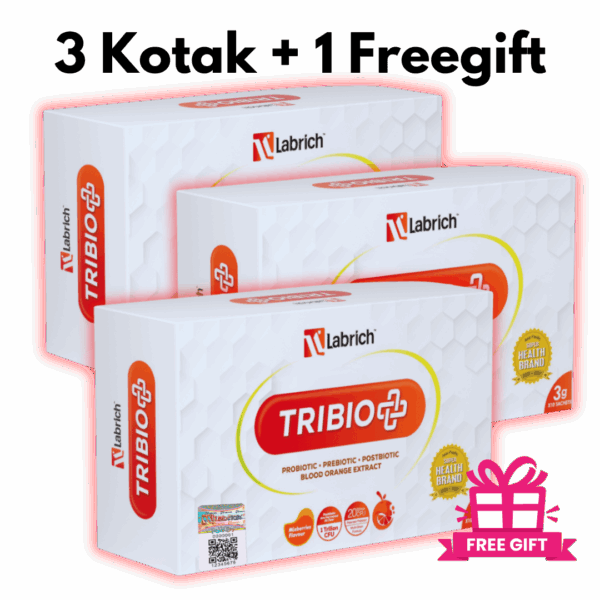 Set 3 Kotak + 1 Freegift