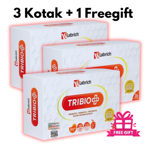 Set 3 Kotak + 1 Freegift
